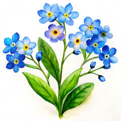 Elegant Watercolor Flowers Clipart: Peony, Orchid, and Sunflower Blooms for Spring & Summer Design