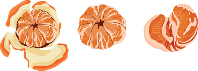set of vector icons of peeled tangerines and halves of tangerines, for New Year's designs, for social networks or printing