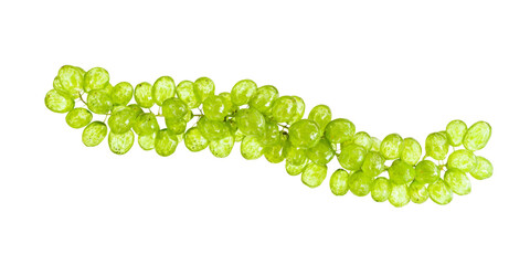green grapes bunch isolated on white background.