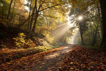 Obraz premium Golden sunlight filters through autumn trees, casting long shadows on a leaf-covered forest path. A tranquil, dreamy atmosphere fills the scene with warmth and serenity.