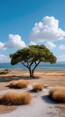 Lone Green Tree Stands Tall in Dry Golden Grass Under a Bright Blue Sky with Puffy White Clouds and Distant Blue Water Landscape