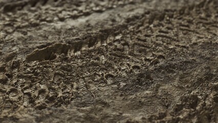 Footprints and tire tracks create a unique pattern on the damp earth, revealing a story of wildlife and activity taking place at twilight in a serene natural setting.