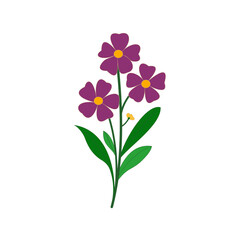 Purple Flower Illustration on White Background