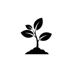 Young plant seedling icon