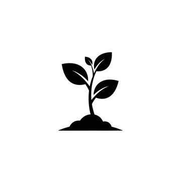Young plant sapling icon