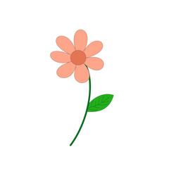Simple Peach Flower Illustration on White Background