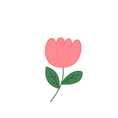 Simple Pink Flower Illustration on White Background