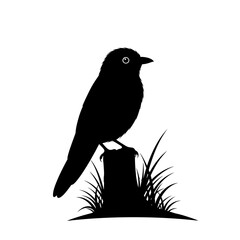 Bird silhouette on short log