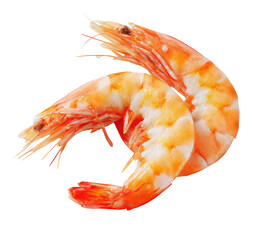 Two cooked shrimp with orange and white segments on black