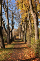 Sonniger Herbsttag in Bad Dürrheim