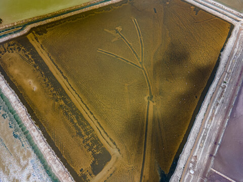 Aerial view of a geometric pattern etched into the landscape, creating a surreal contrast against the muted earthy tones, El Puerto de Santa Mar&Atilde;&shy;a, Andalusia, Spain.