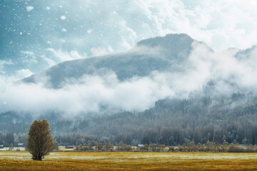 Misty mountain landscape with lone tree and starry sky