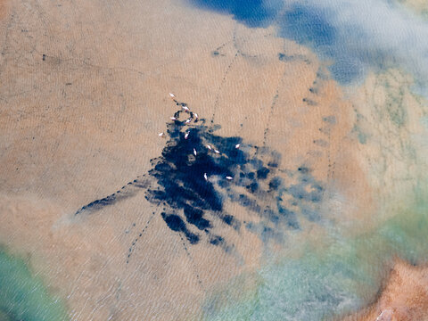 Aerial view of the stark contrast between the dark blue water and the arid, sandy landscape creates a mesmerizing dance of color and texture, El Puerto Santa Maria, Cadiz, Andalusia, Spain.
