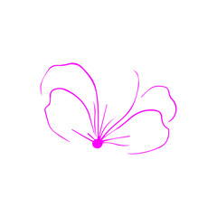 pink butterfly on white