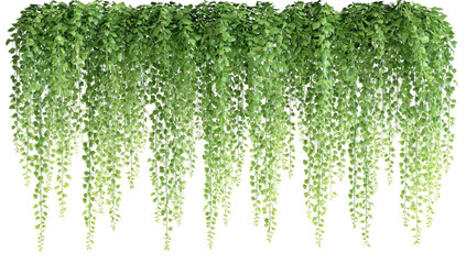 Lush green cascading foliage with a textured, organic flow