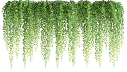 Lush green cascading foliage with a textured, organic flow