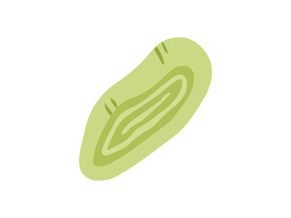 Green Onion Slice Scallions Illustration
