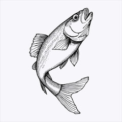 Vintage engraving illustration of a jumping fish artwork
