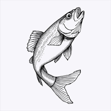Vintage engraving illustration of a jumping fish artwork