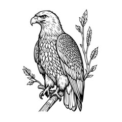 eagle on a branch