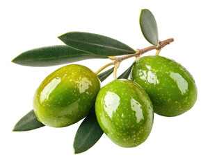 Three ripe green olives with leaves on a branch