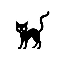 black cat on white background