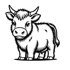 illustration of highland cow