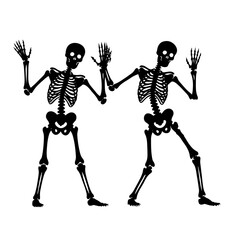 skeleton with a skull