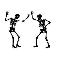 illustration of human skelleton