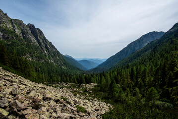 Fototapeta premium 2024 08 15 Pieve Tesino Landscape 10.jpg