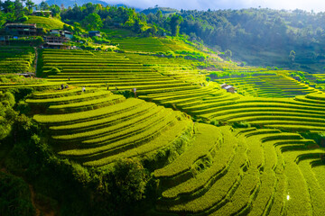 Aerial view of golden rice terraces at Mu Cang Chai town near Sapa city, North of Vietnam....