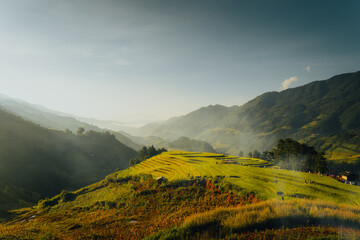 Aerial view of golden rice terraces at Mu Cang Chai town near Sapa city, North of Vietnam. Beautiful terraced rice field in harvest season in Yen Bai province.