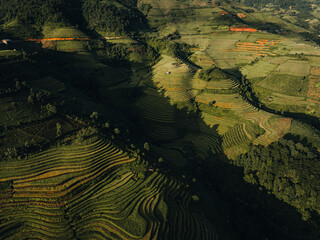 Aerial view of golden rice terraces at Mu Cang Chai town near Sapa city, North of Vietnam. Beautiful terraced rice field in harvest season in Yen Bai province.