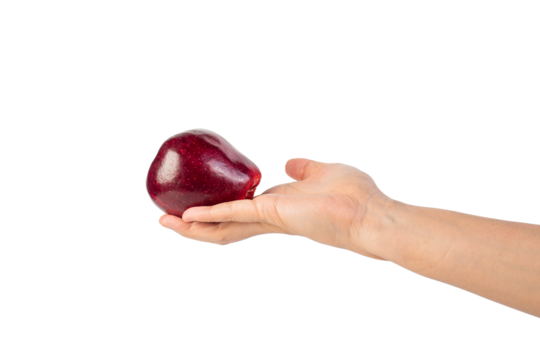 Red apple in hand transparent background - Powered by Adobe
