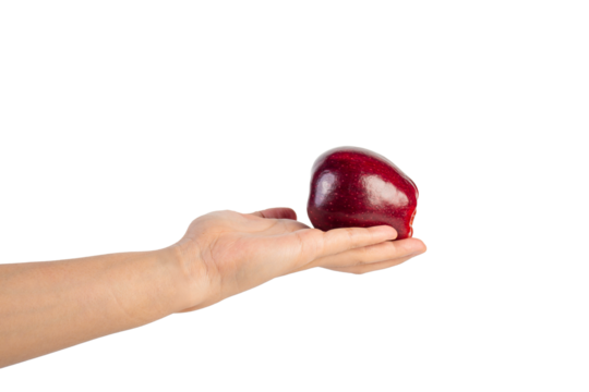 Red apple in hand transparent background - Powered by Adobe
