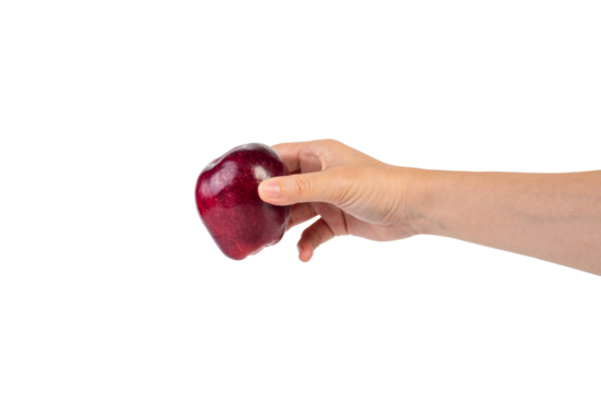 Red apple in hand transparent background - Powered by Adobe