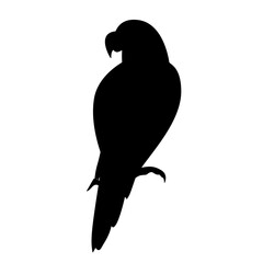 Parrot Silhouette 