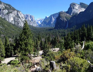 Yosemite Valley Vista - A Majestic Landscape of Mountains and Forest.