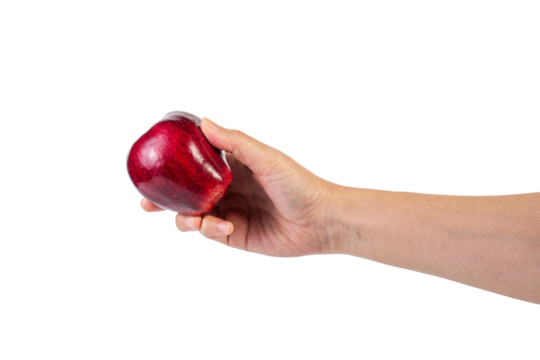 Red apple in hand transparent background - Powered by Adobe
