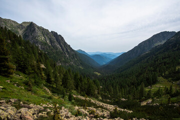 Fototapeta premium 2024 08 15 Pieve Tesino landscape 17.jpg