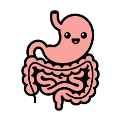 Cute Stomach and Intestines Cartoon
