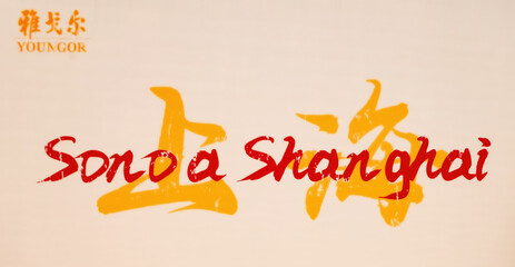 LCD screen with message in multiple languages ​​I am in Shanghai