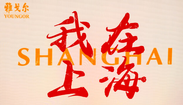 LCD screen with message in multiple languages ​​I am in Shanghai