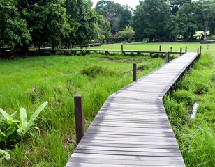 Wooden walkway through lush green landscape in tropical setting.