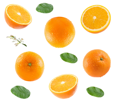assorted oranges with leaves and blossoms offer a fresh, natural citrus vibe for healthy eating, vibrant lifestyle, and culinary publications