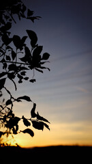 autumn photos, nature, sunset, autumn sky, leaves in the water