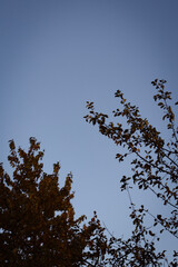 autumn photos, nature, sunset, autumn sky, leaves in the water