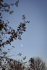 autumn photos, nature, sunset, autumn sky, leaves in the water