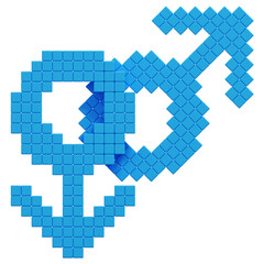 3D Pixel Gay Icon