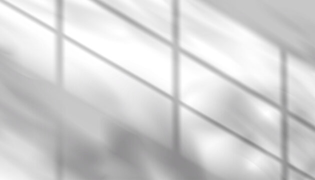 Window frame with sunlight reflection on white wall,Vector bright light of sun,shadow nature,tree branches leaf overlay background,Empty room and abstract pattern texture art design of summer banner